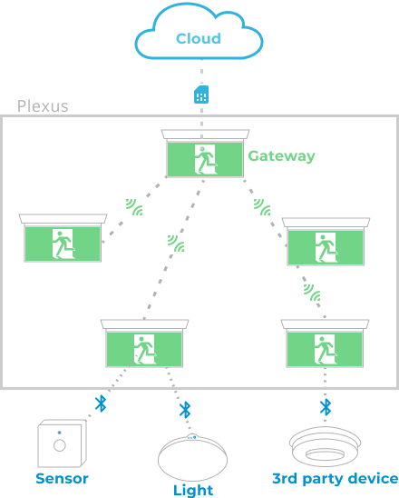network diagram